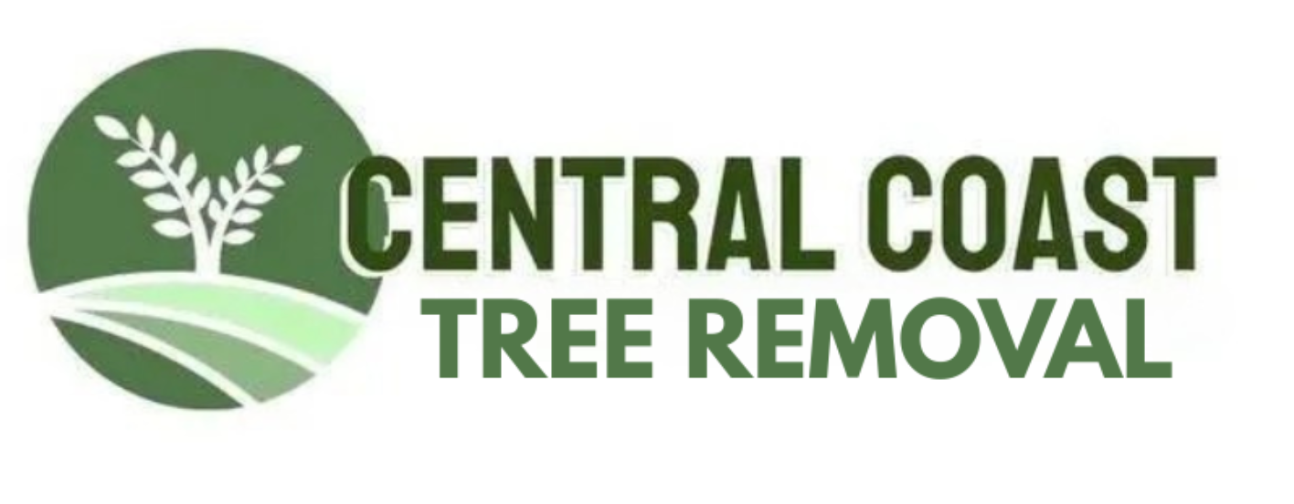 Arborist on the Central Coast