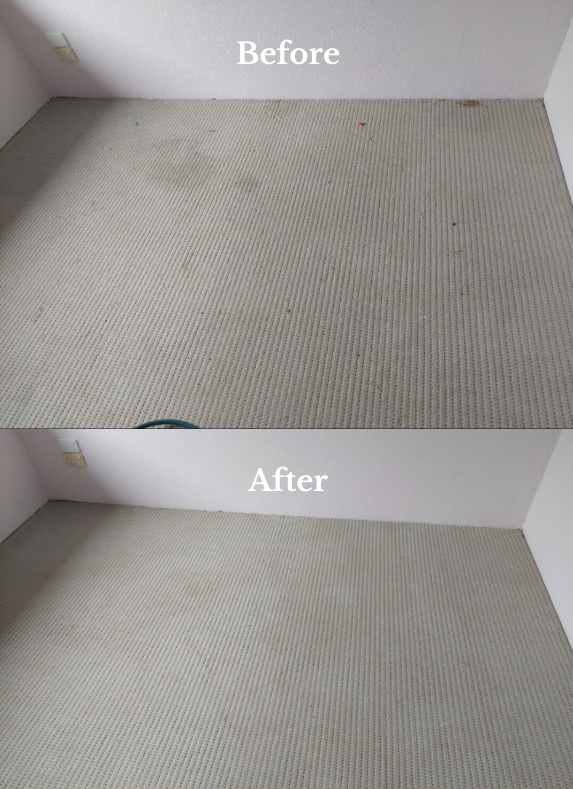 Man Using A Washing Hoover To Clean A Beige Carpet — Premium Carpet Cleaning In Trinity Park, QLD