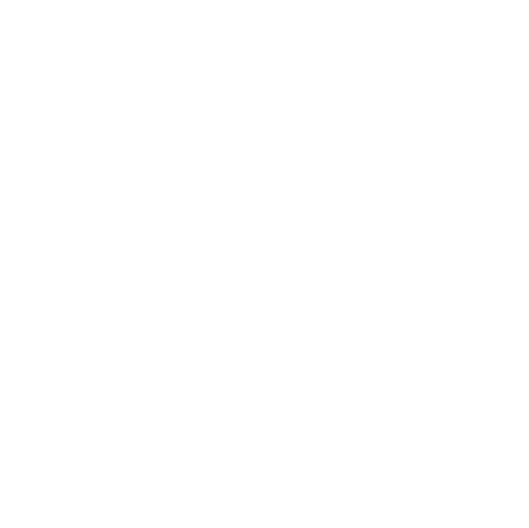 Combat Kali Silat logo