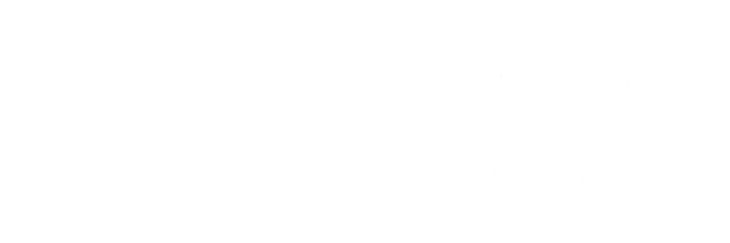 Veterans For Assange Logo