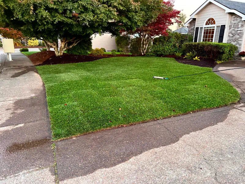 A lush green lawn in front of a house