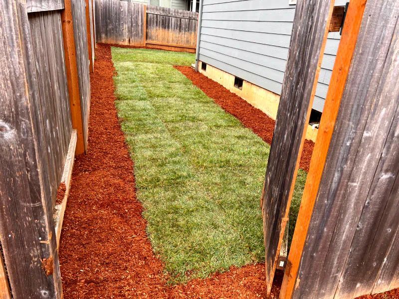 A backyard with a wooden fence and a lush green lawn.