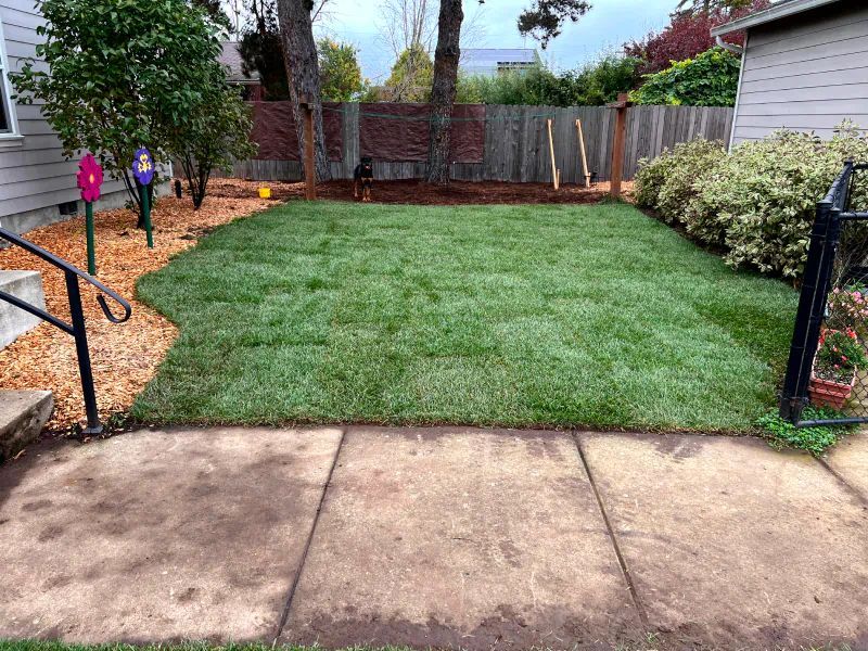 A backyard with a concrete walkway and a lush green lawn.