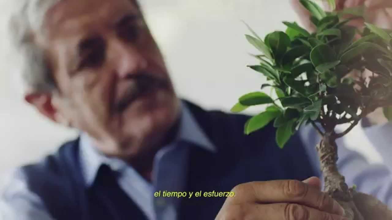 ADECCO FUNDACION SEMILLAS CORTO SHORT FILM