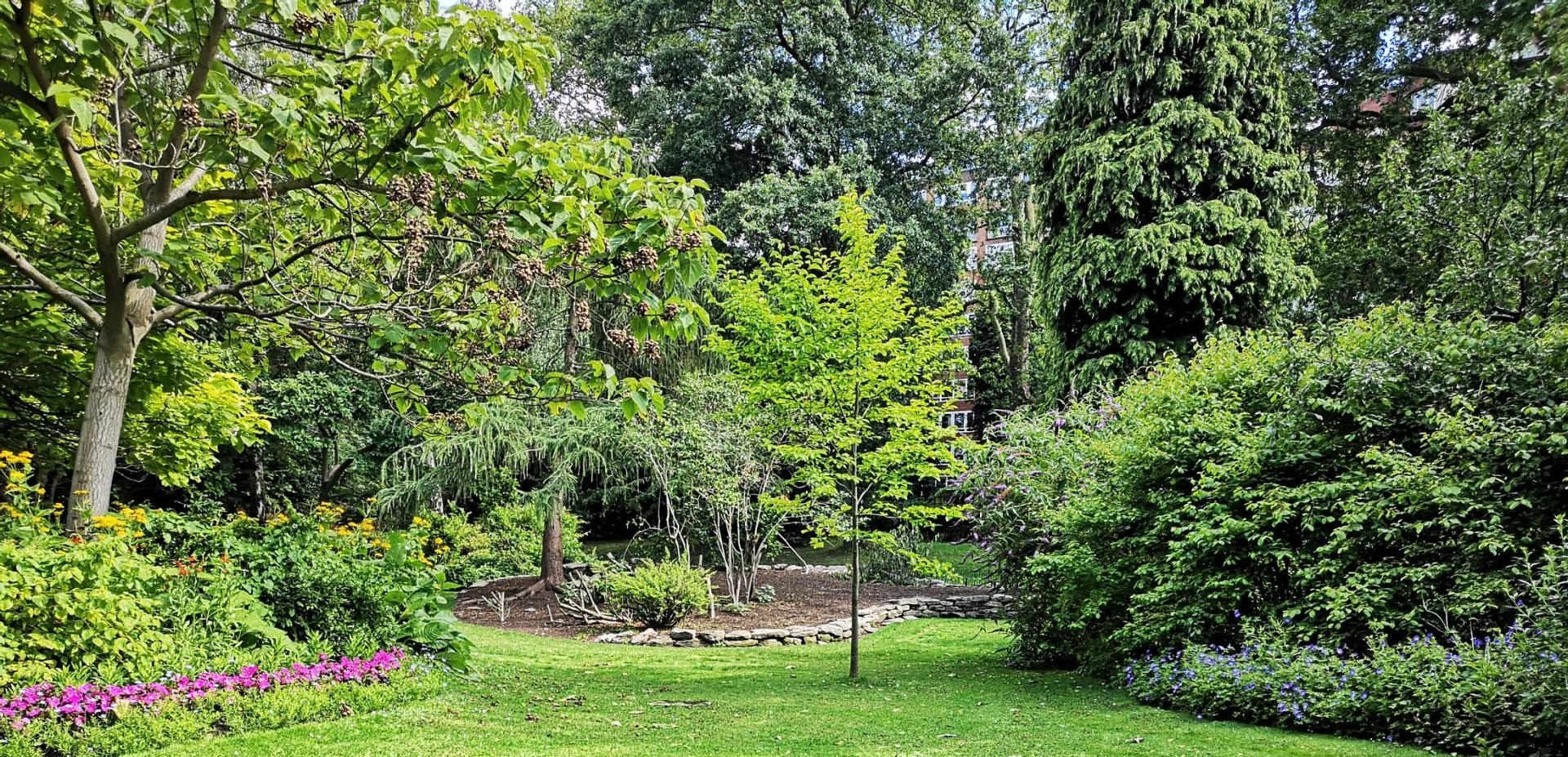 Yard with many trees and plants