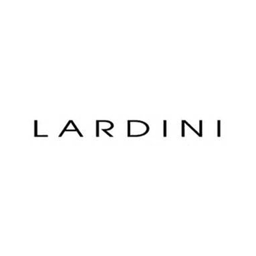 logo lardini