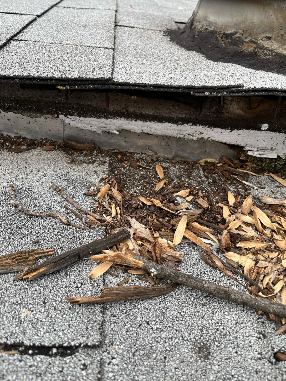 Damaged asphalt shingle roof with debris.