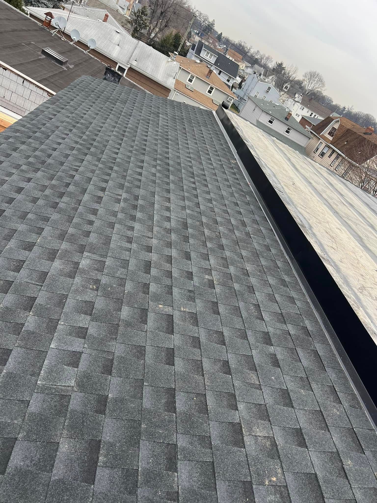 Dark gray shingle roof, with adjacent light colored flat roof and a cityscape background.