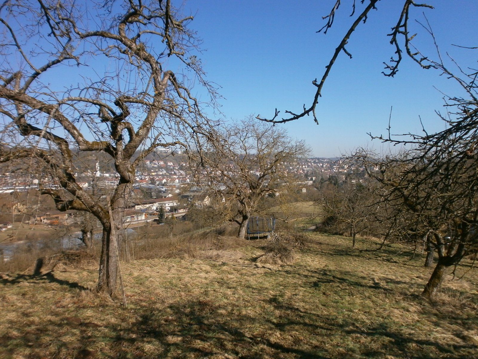 Baumwiese bei Hechingen