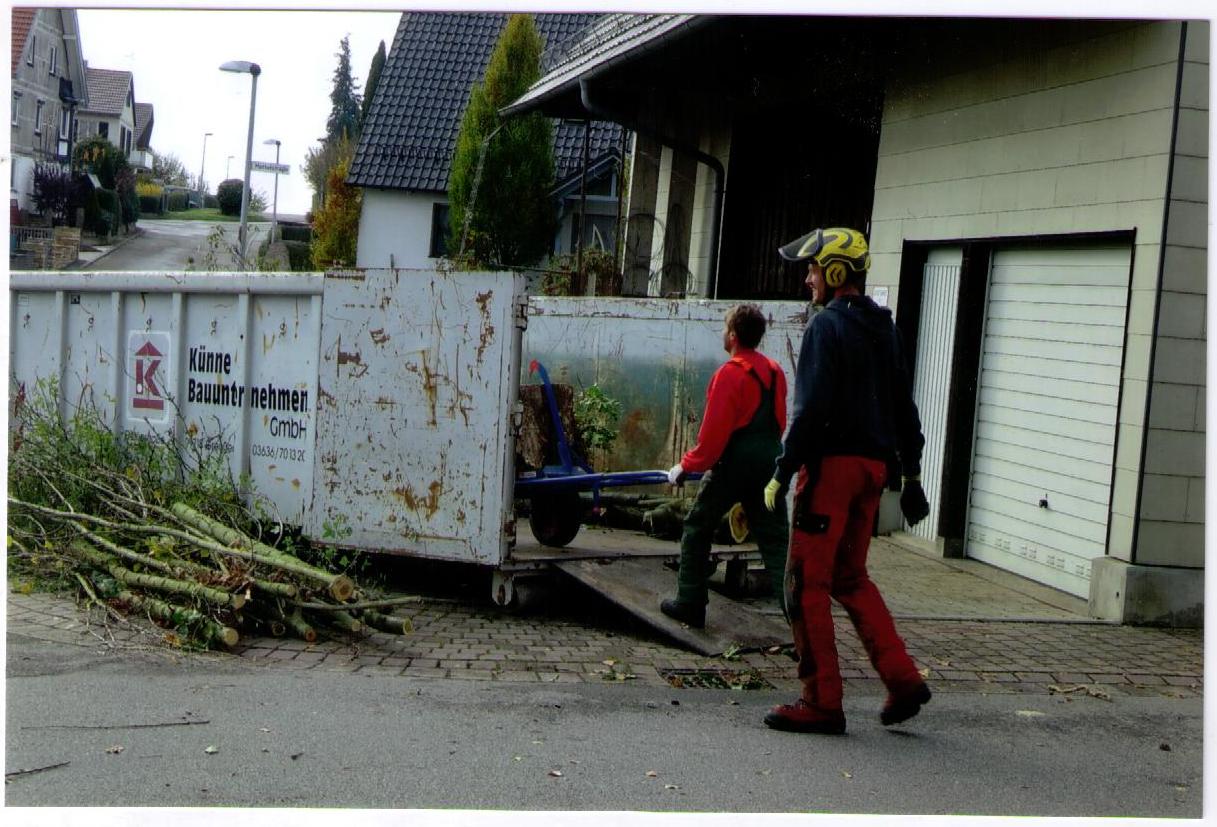 Baumpfleger laden Astwerk und Stammholz in einen Container