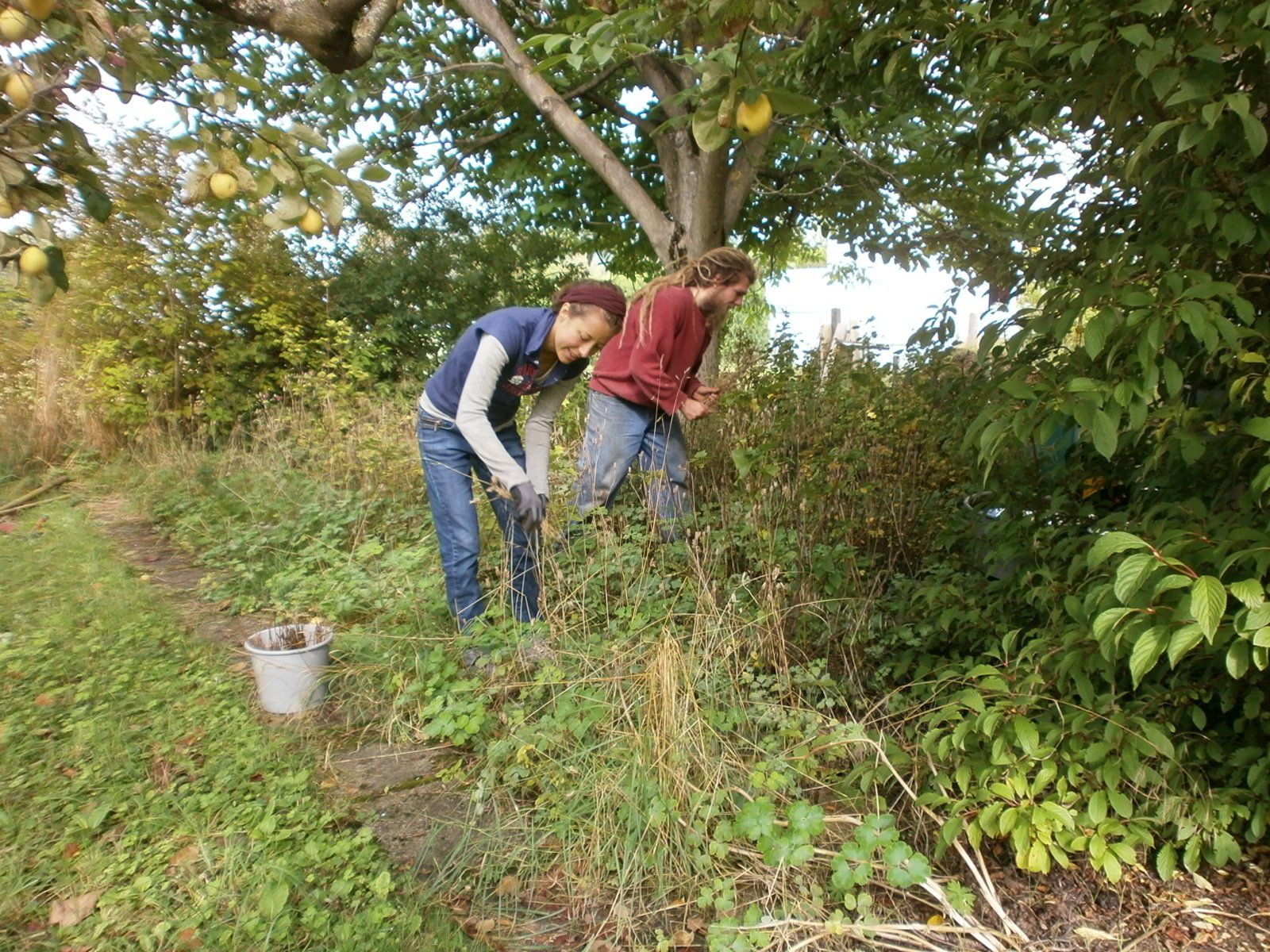 Gartenpfleger durchforsten ein Bett in einem Garten in Herrenberg.