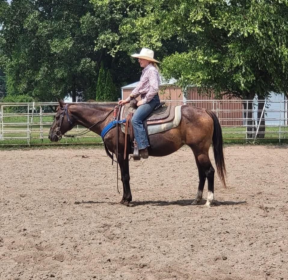 Person in a cowboy hat sits on a brown horse in an outdoor riding arena.