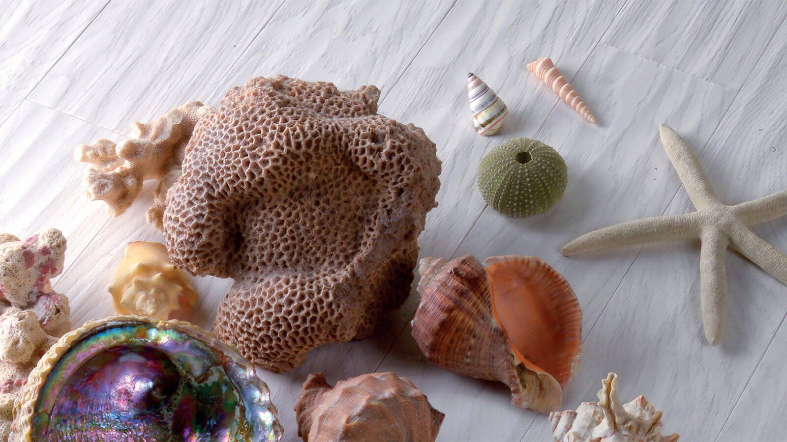 parquet fashion milk ali parquet