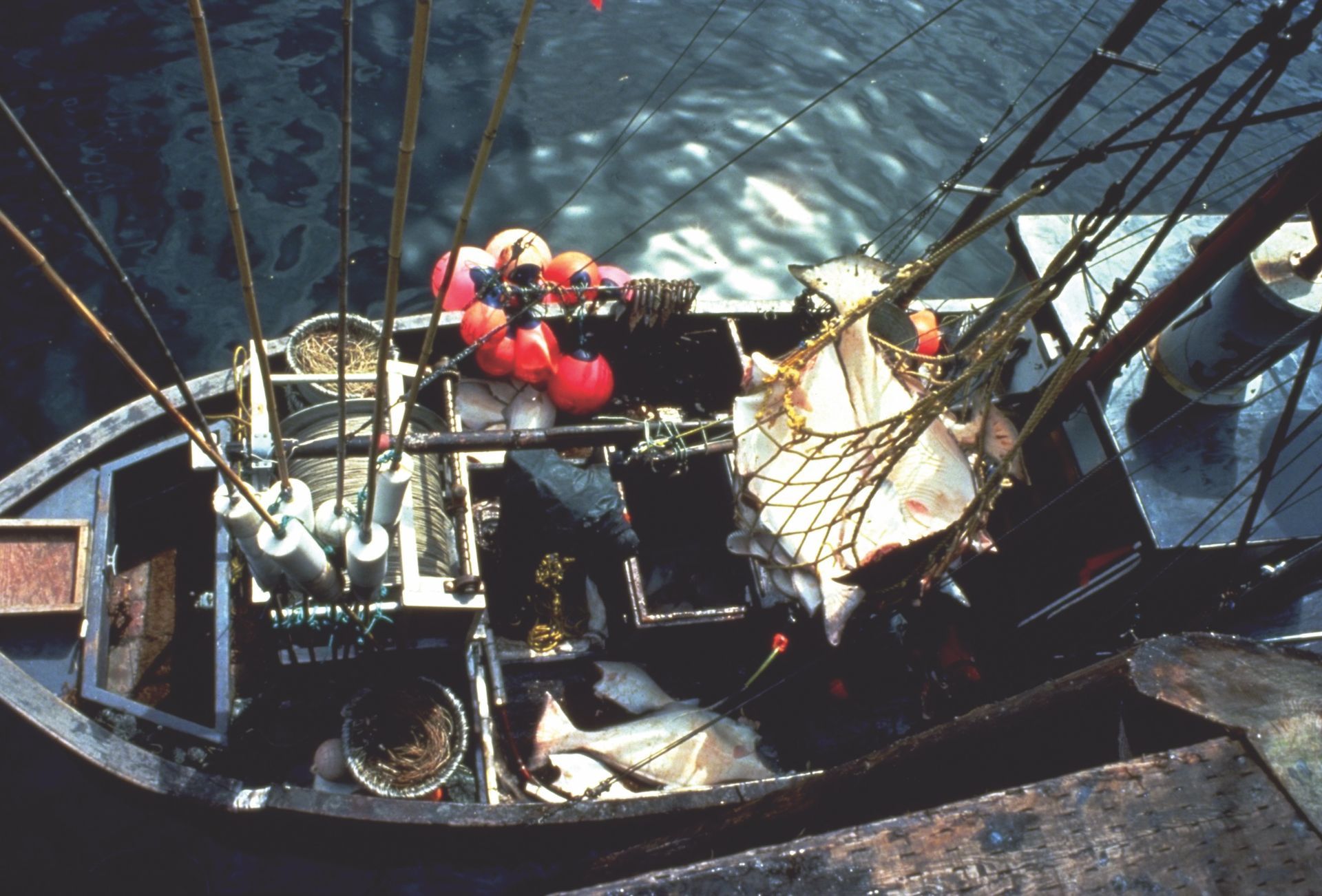 An aerial view of a fishing boat in the water