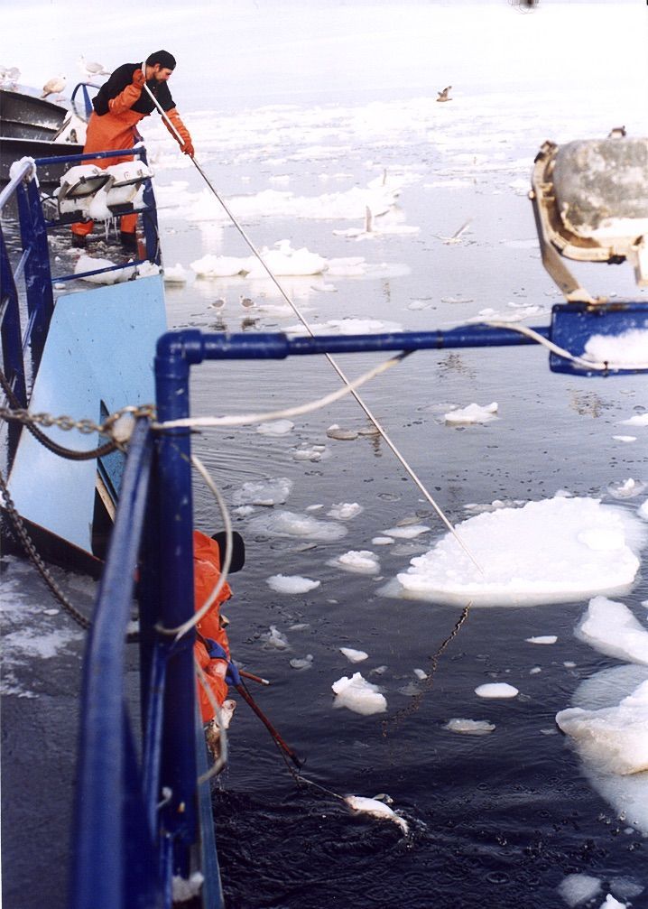 A man is standing on a boat in the water holding a rope