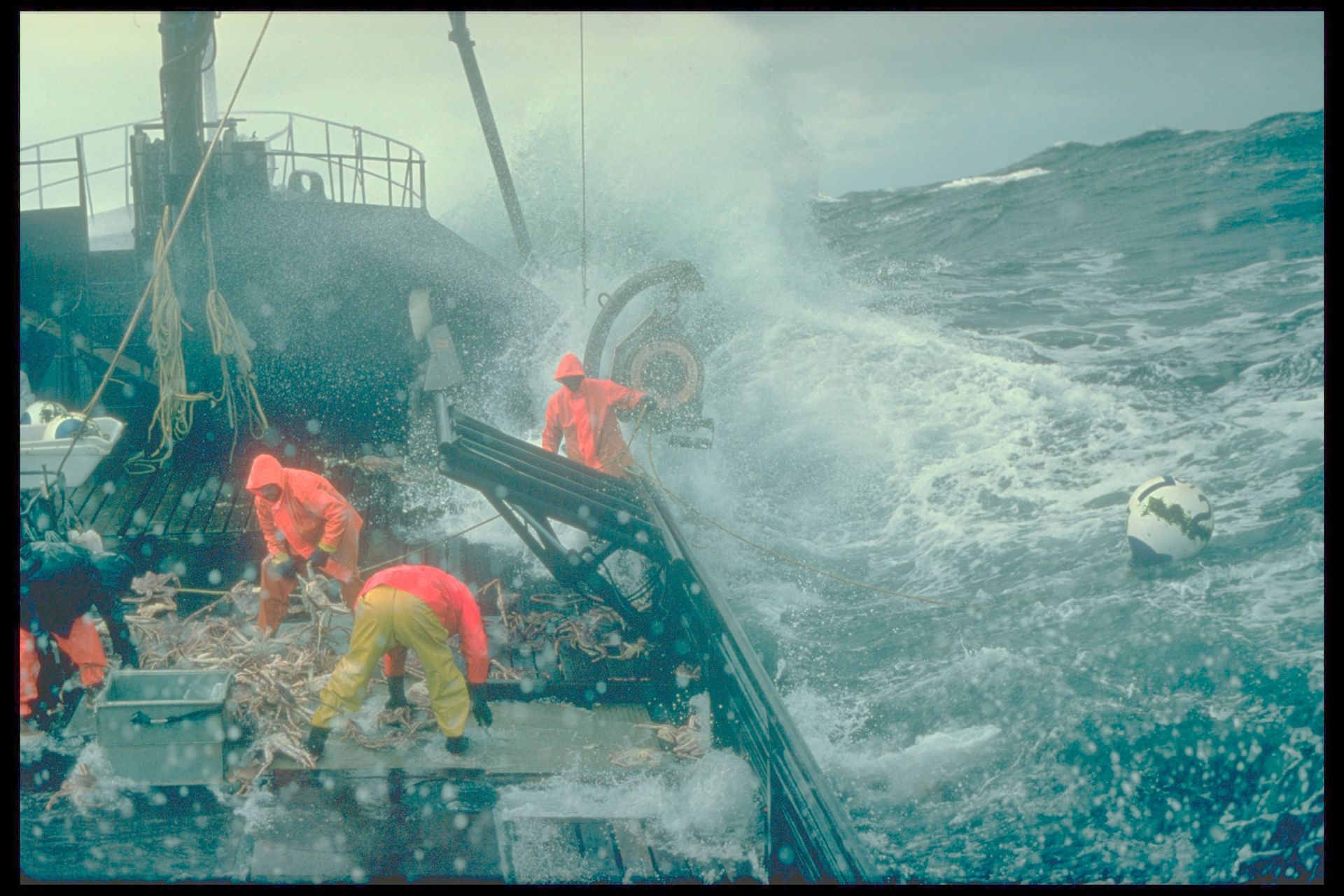 Crabbing on the Amatuli