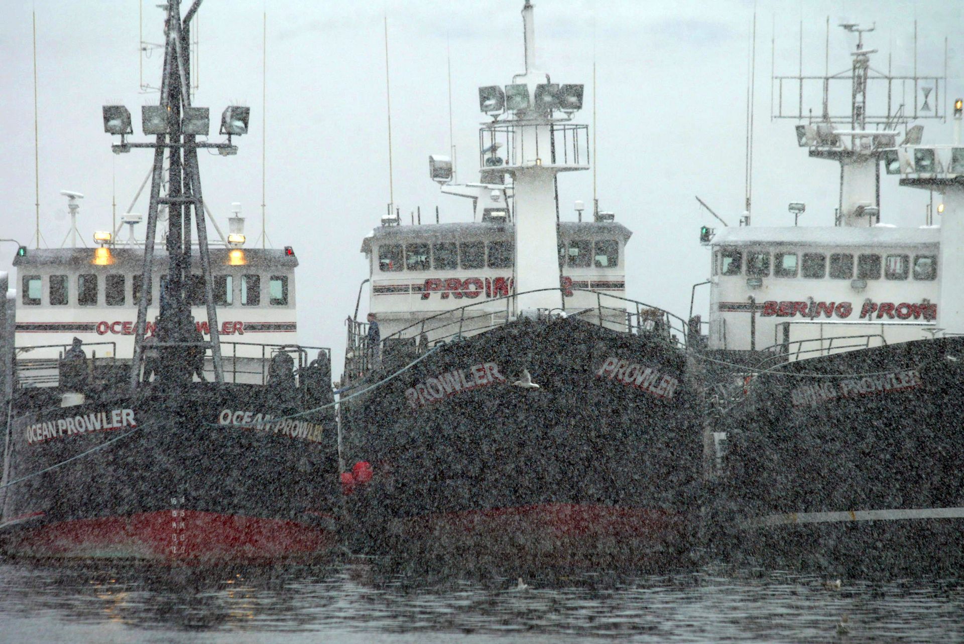 Three boats are lined up in the water and one of them has the word prow on it