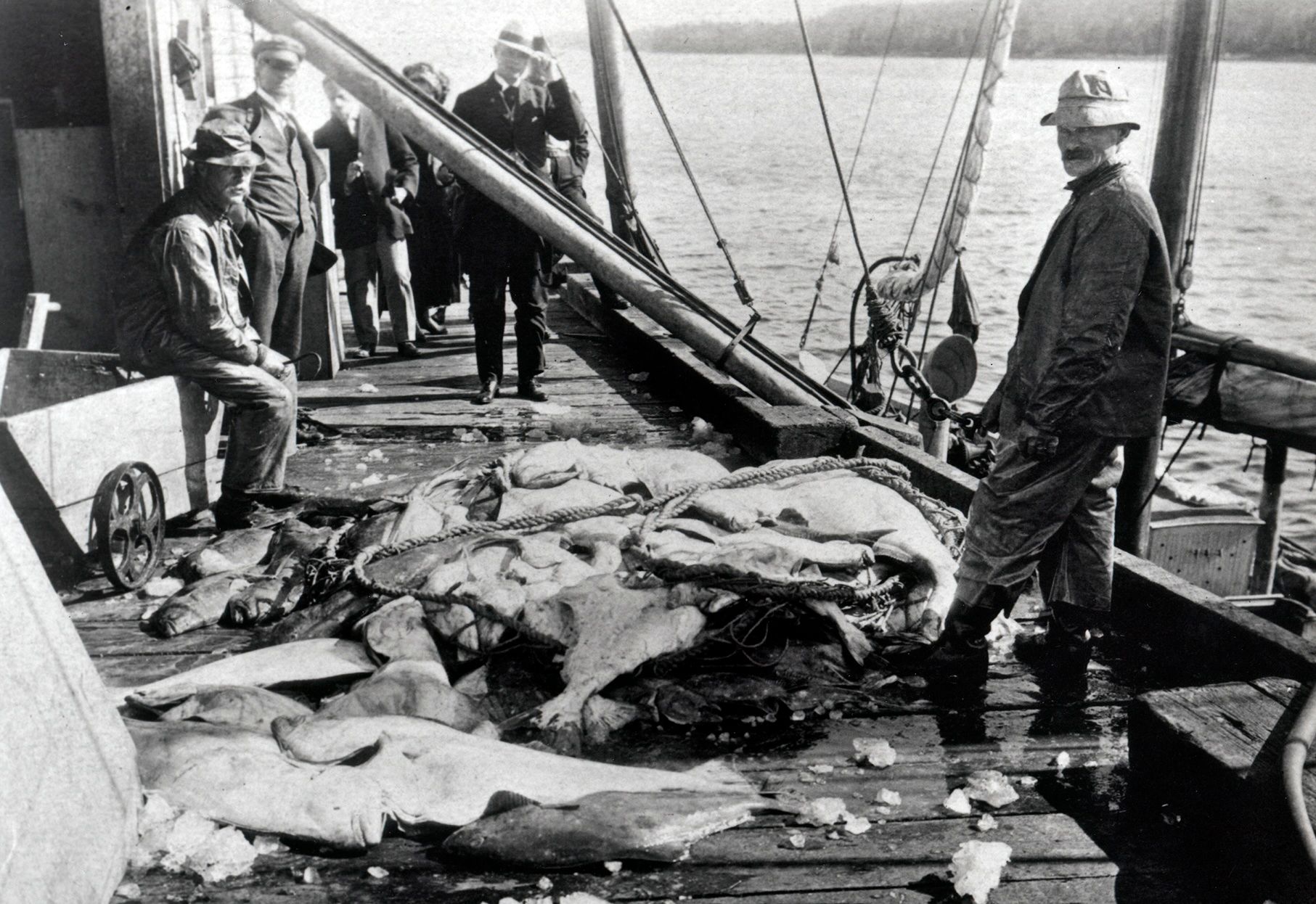 Black and White Photo of fish on the deck of an Alaska fishing boat.
