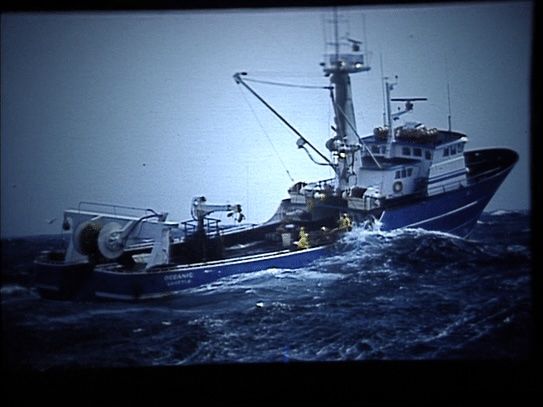 Bering Sea King Crab Fishery Still Photographs