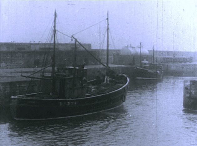 Fish and the Seine Net. North Sea Fishing Operations