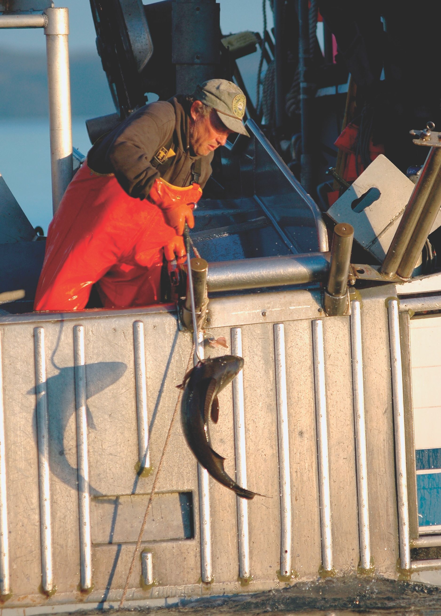 A man in red gloves is holding a fish on a boat