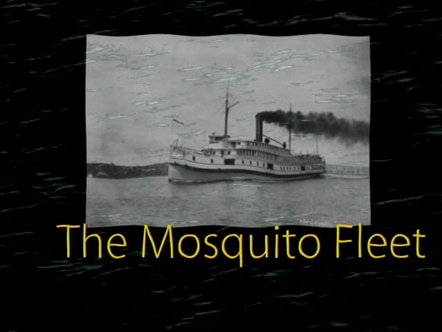 Mosquito Fleet