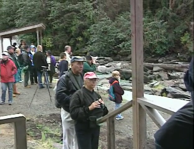 Neets Bay: An Alaska Salmon Ranch is a half-hour, broadcast quality documentary.