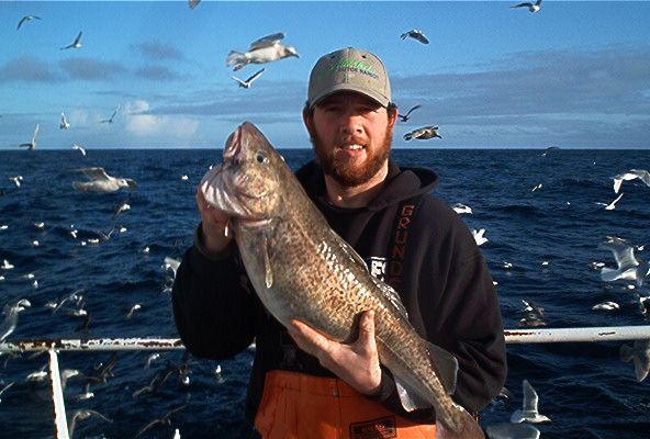 A man is holding a large fish on a boat