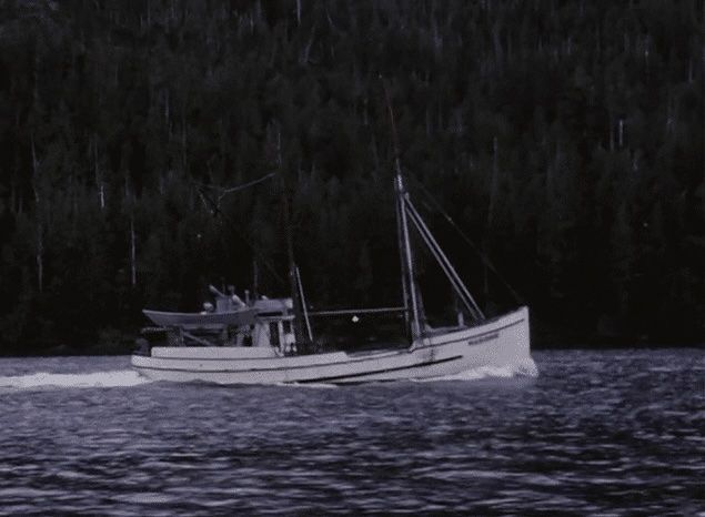 Halibut Fishing on the Fishing Vessel  Polaris