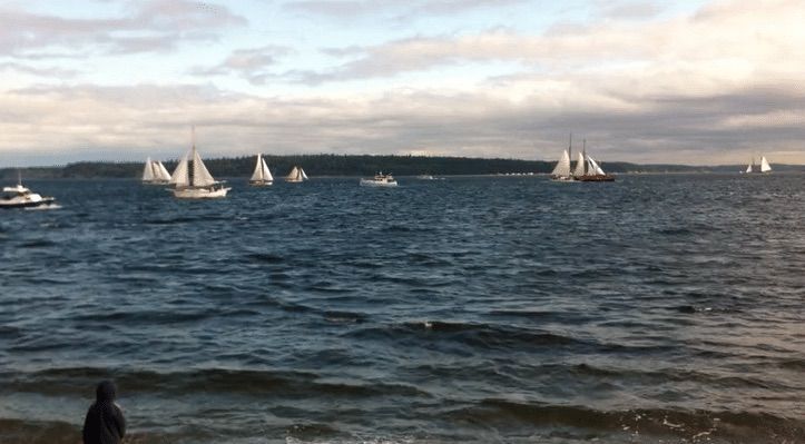 Port Townsend Wooden Boat Festival