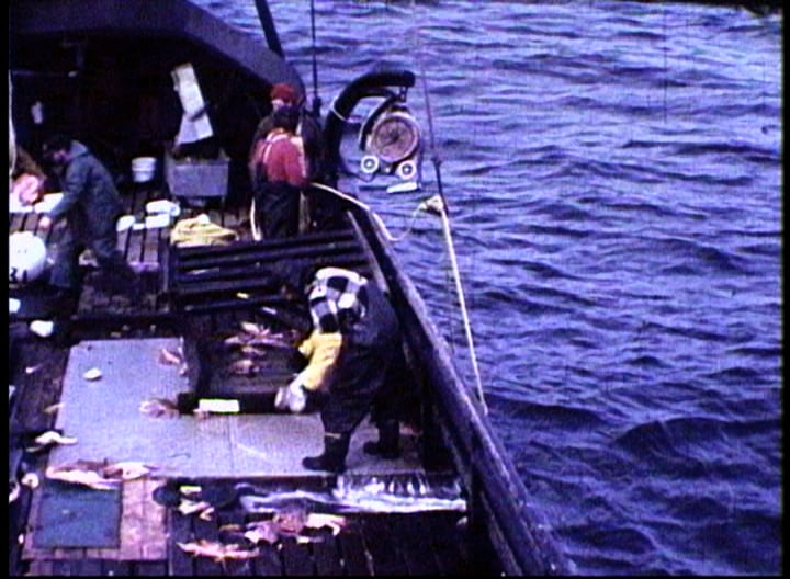 A group of people are working on a boat in the water.