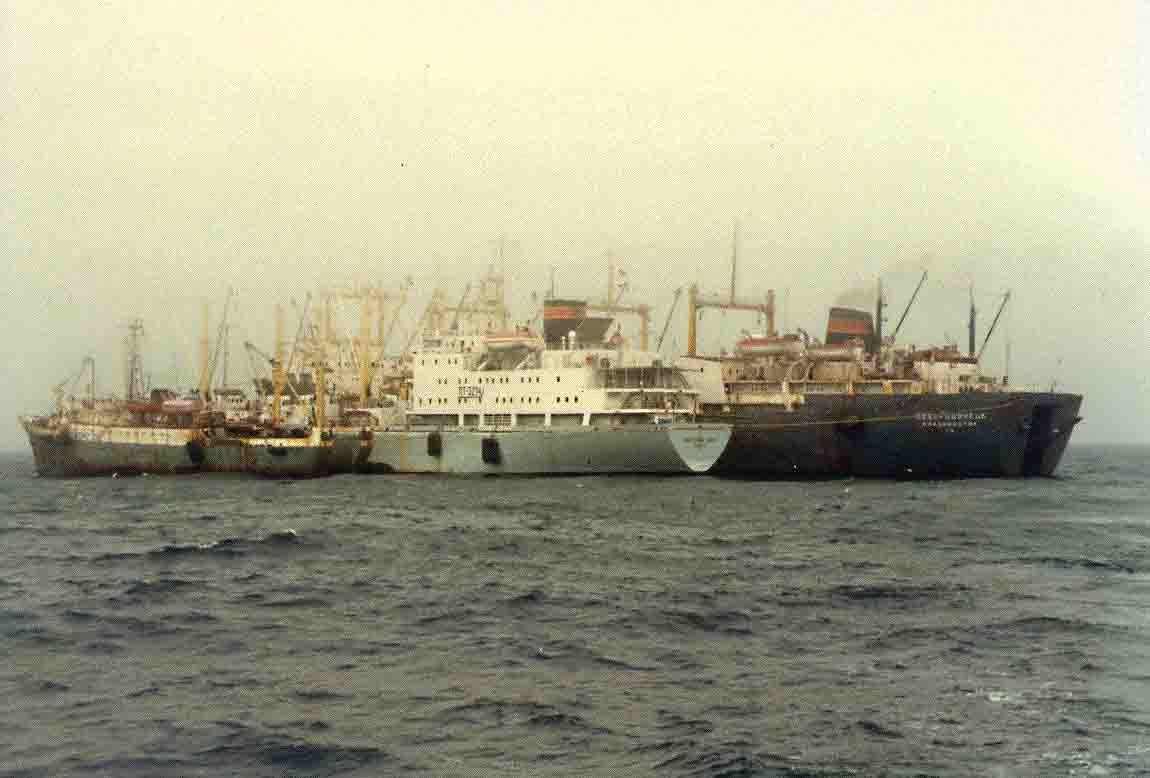 A group of ships are floating on top of a large body of water.