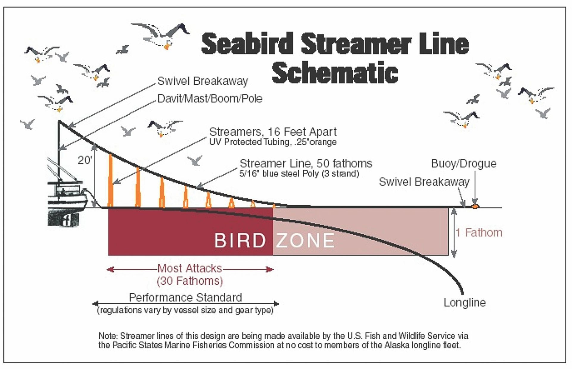 A diagram of a seabird streamer line with birds flying over it.