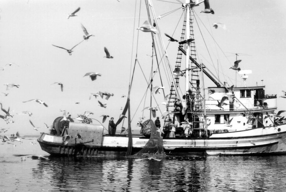 A black and white photo of a boat surrounded by seagulls
