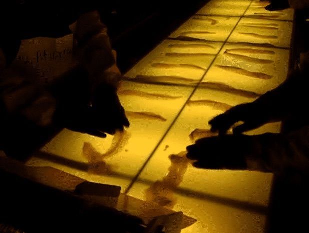 The  Meaning of Wealth