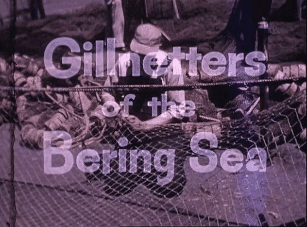 Gillnetters of the Bering Sea,  by Dick Taylor