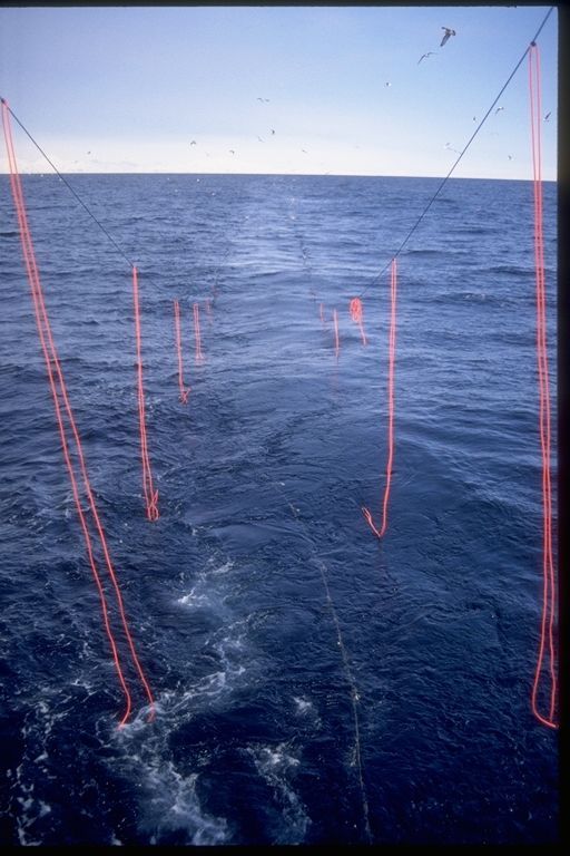 A large body of water with red ropes in it