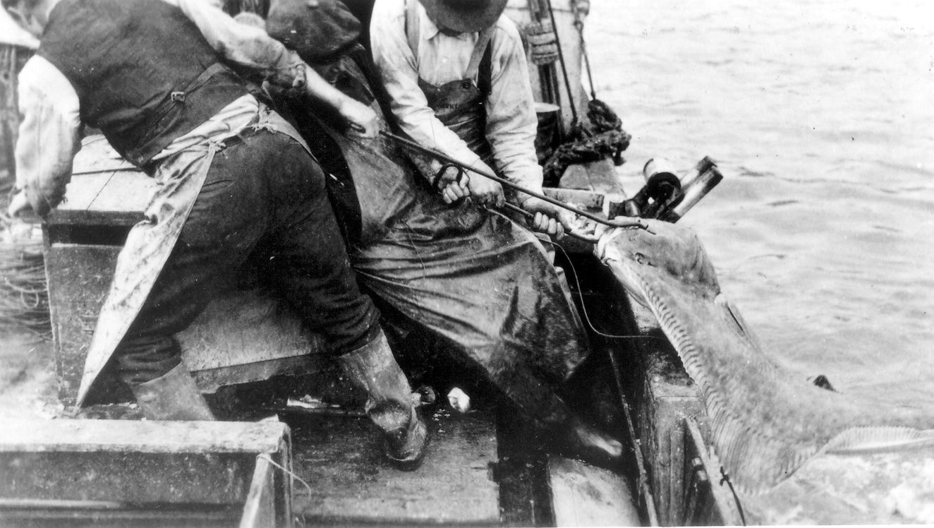 A group of men are fishing in a boat in the water.