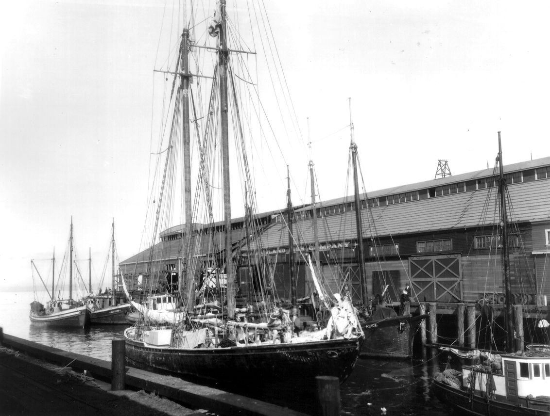 A black and white photo of boats docked in a harbor.