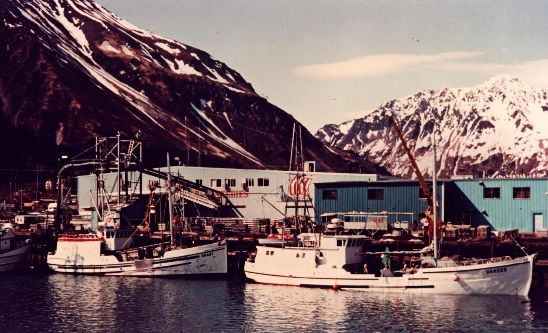 Several boats are docked in a harbor with mountains in the background