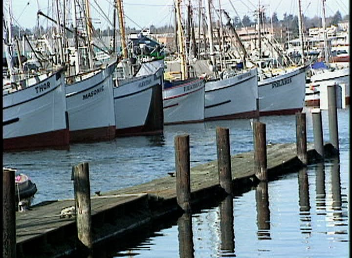 Centuries of Fish: Seattle's Dynamic Distant Water Fishing Fleet