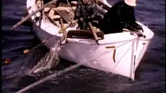 Drayton Harbor