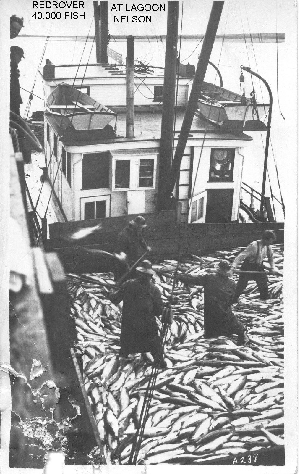 A black and white photo of a boat filled with fish