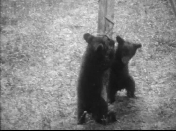 The Great Bear of Southern Alaska, Church Family Films