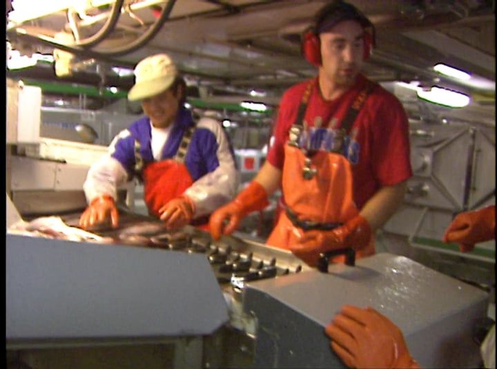 American Seafoods Bering Sea-5