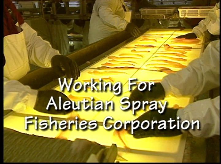 Working for Aleutian Spray Fisheries Corporation, 1999