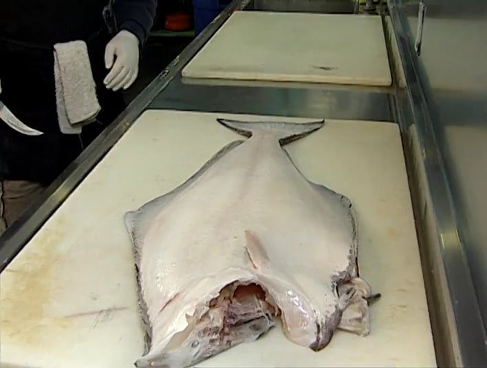 Wild Salmon Market and Chinooks Restaurant,  Fisherman's Terminal