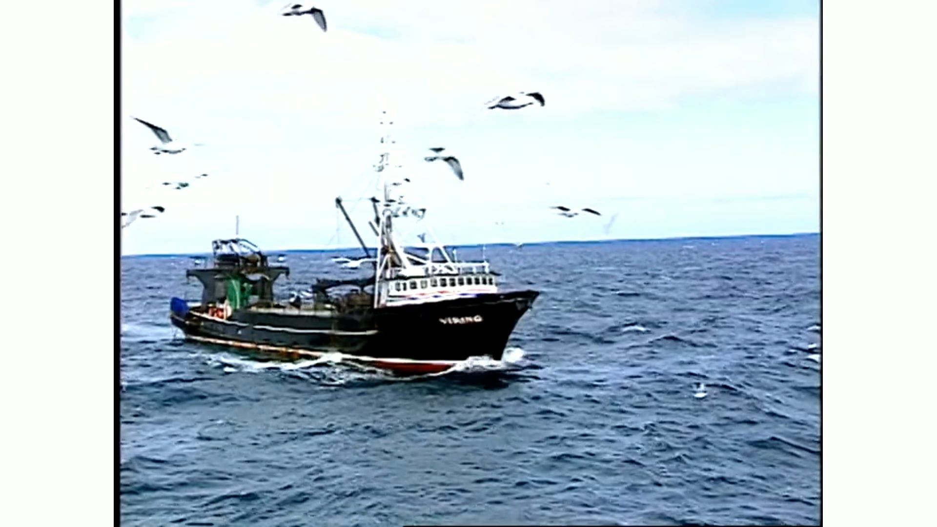 A boat is floating on top of a body of water surrounded by seagulls.