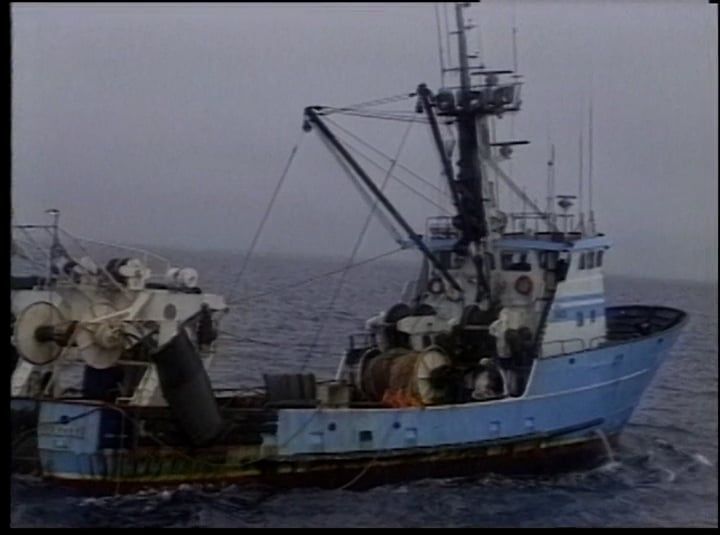 A blue and white boat is floating in the ocean
