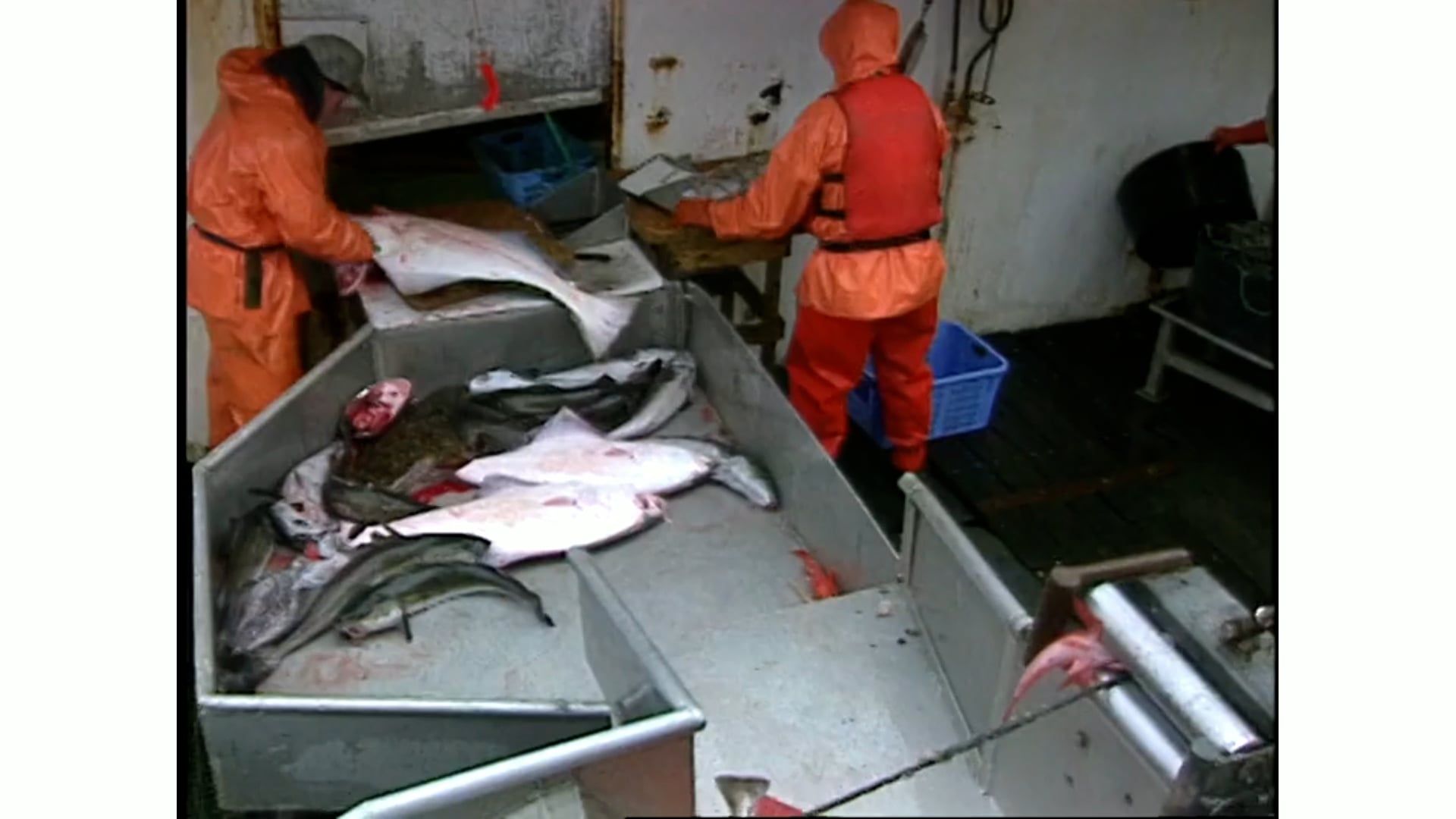 A couple of people are standing around a table with fish on it.